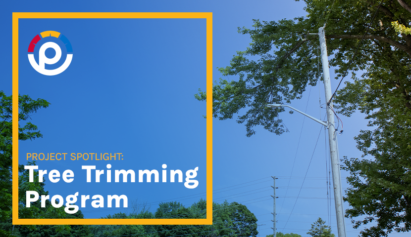 Project Spotlight: Tree Trimming Program